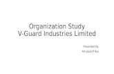 Mrudula organiations study at v guard ltd