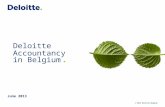 Deloitte Accountancy Belgium - SME Network