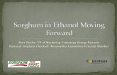 Sorghum in ethanol moving forward