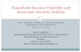 Neri conference 2015 income volatility and economic security