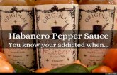 Habanero Pepper Sauce, Are You Addicted Too?