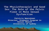 The physiotherapist and_good_sex_the_role_of_the_pelvic_floor_in_male_sexual_dysfunction_-_dr_patricia_weerakoon