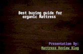 Best buying-guide-for-organic-mattress(2)