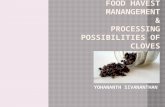Food havest manangement and processing of Cloves..