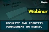 WebRTC Security