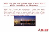What are the top places that i must visit while travelling to singapore