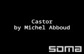 Castor by Michel Abboud