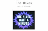 Video analysis: The Hives - Wait a minute