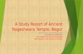 A Study Report of Ancient Heritage Situated in Bangalore