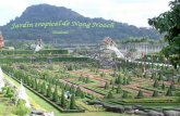 Jardim tropical de Nong Nooch  (  Tailândia  )