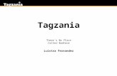 Ignite talk about Tagzania in Where 2.0 2007