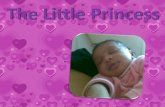 The Little Princess 3
