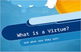 What is a virtue