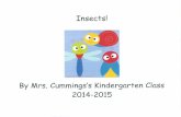 Mrs. Cummings's Kindergarten Insect Book