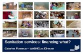 AfricaSan 2011: WASHCost findings - Catarina Fonseca