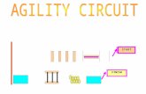 Circuit agility 2