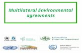 What are multilateral environmental agreements