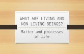 Living beings processes