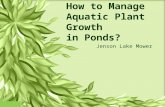 How to manage aquatic plant growth in Ponds?
