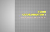 Tour Coordinator - Apartments For Rent in Dubai