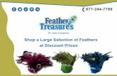 Shop a large selection of feathers at discount prices