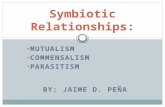 Symbiotic relations