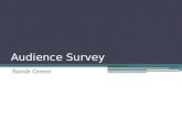 A2 Media Studies: Audience Survey