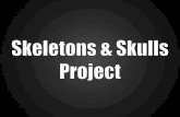 Skeleton & Skull project
