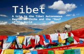 Journey To Tibet 2015