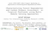 Characterizing Forest Degradation and Carbon Biomass Assessment in Tropical Peatlands using Multi Remote Sensing Approaches