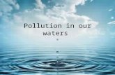 Pollution in our Waters