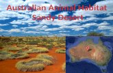 Australian sandy desert habitat