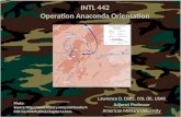 Operation anaconda orientation