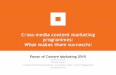 Nenad Senic: Cross-media content marketing programmes: What makes them successful