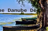The danube delta
