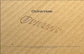 Oxiracetam - Nootropic to Awaken Your Senses