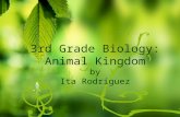 3rd Grade Biology: Animal Kingdom