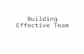 Building Effective Team 5th december 2013