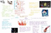 Biology (Unit 1) Revision Sheets - GCSE AQA New Core Science