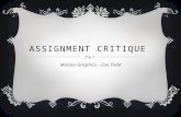 Assignment Critique