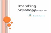 Branding strategy