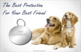 Pet Protector Presentation: Become a Representative of the Best Selling Pet Product in 2014