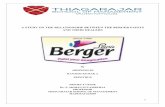 Berager paints   project report