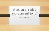 What are codes and conventions