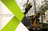 5 Must Have Tree Service Tools And Equipments