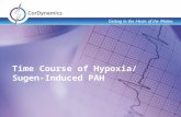 Time Course of Hypoxia/Sugen-Induced PAH