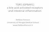 TGR5 (GPBAR1) and intestinal immunity
