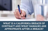 What Is a California Breach of Contract and What Damages Are Appropriate After a Breach