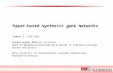 Paper-based synthetic gene networks