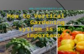 How to vertical gardening system is so important